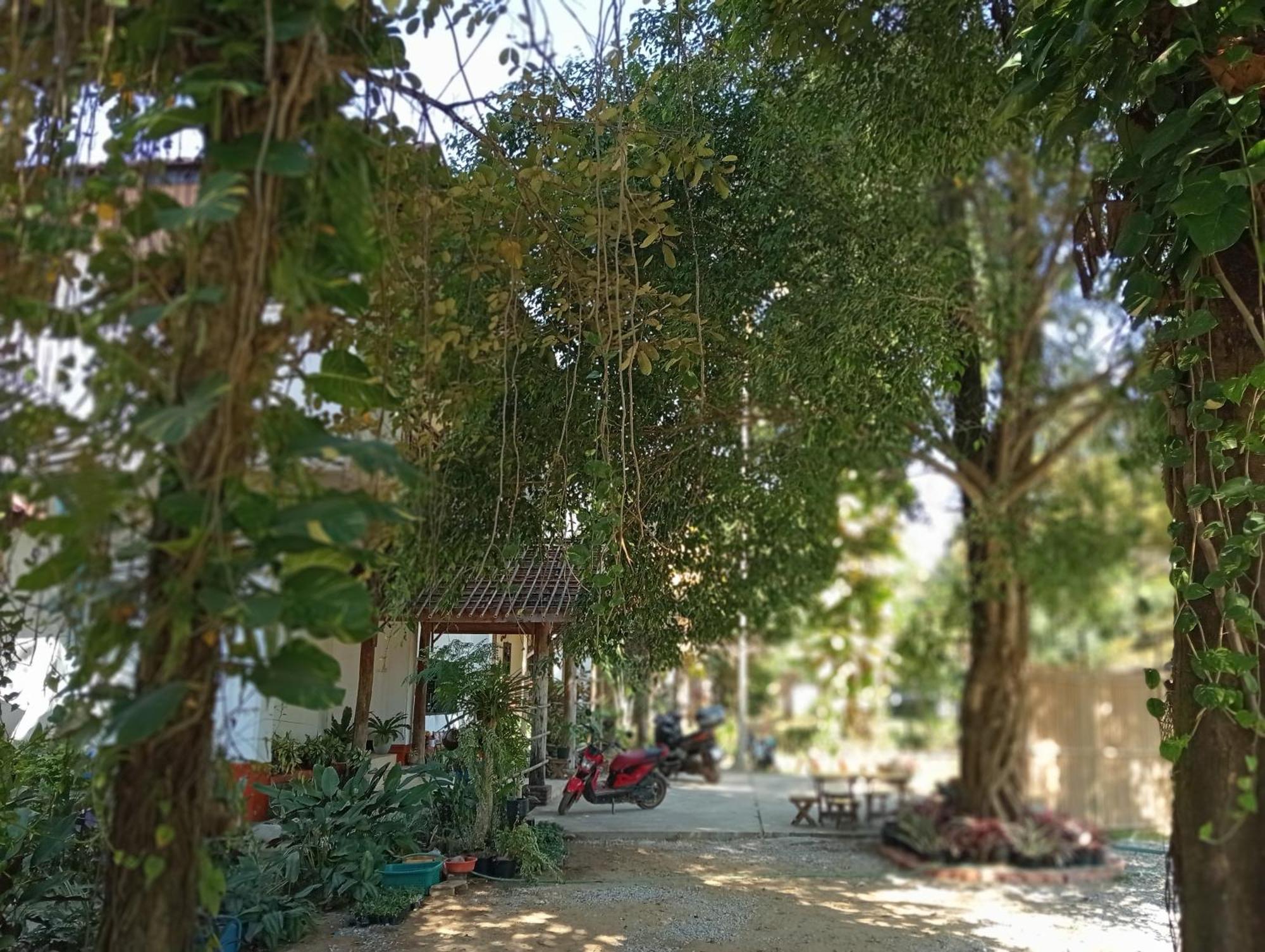 Vangvieng Ruby'Homestay 방 비엥 외부 사진