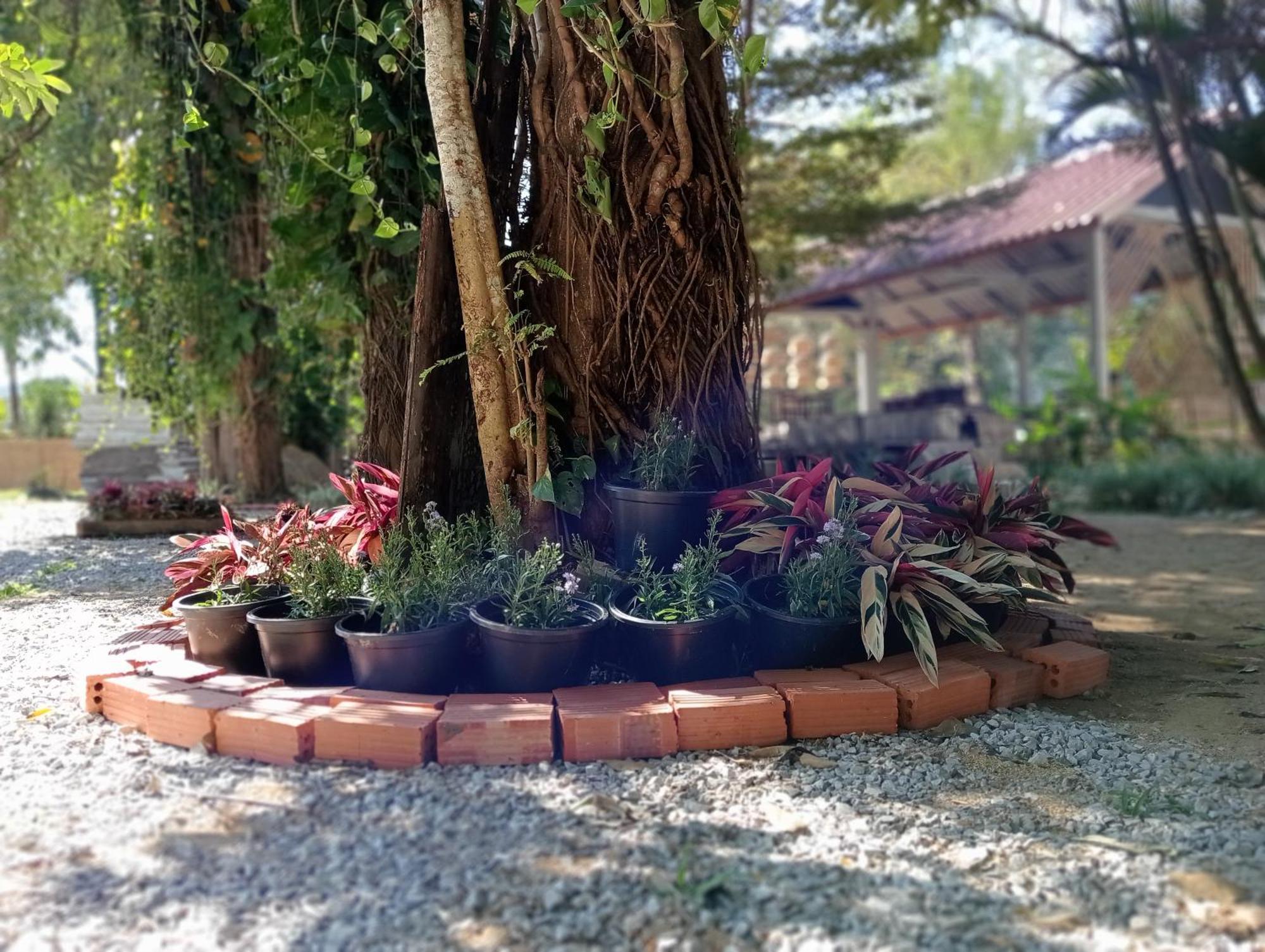Vangvieng Ruby'Homestay 방 비엥 외부 사진