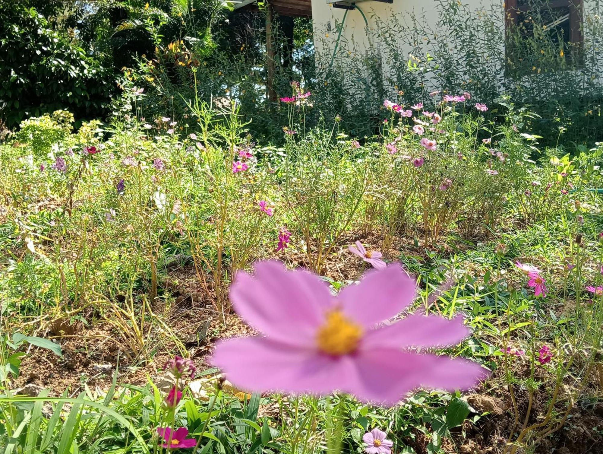 Vangvieng Ruby'Homestay 방 비엥 외부 사진