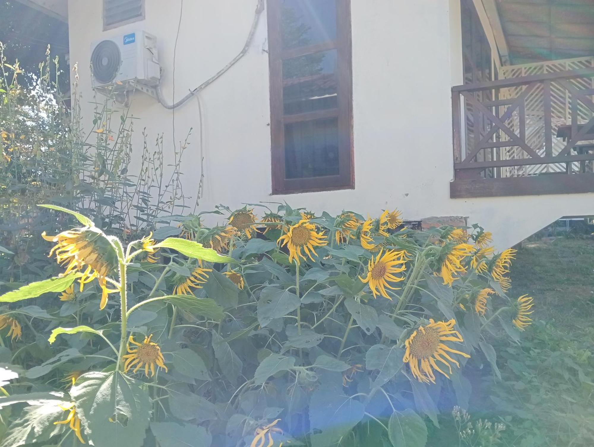 Vangvieng Ruby'Homestay 방 비엥 외부 사진
