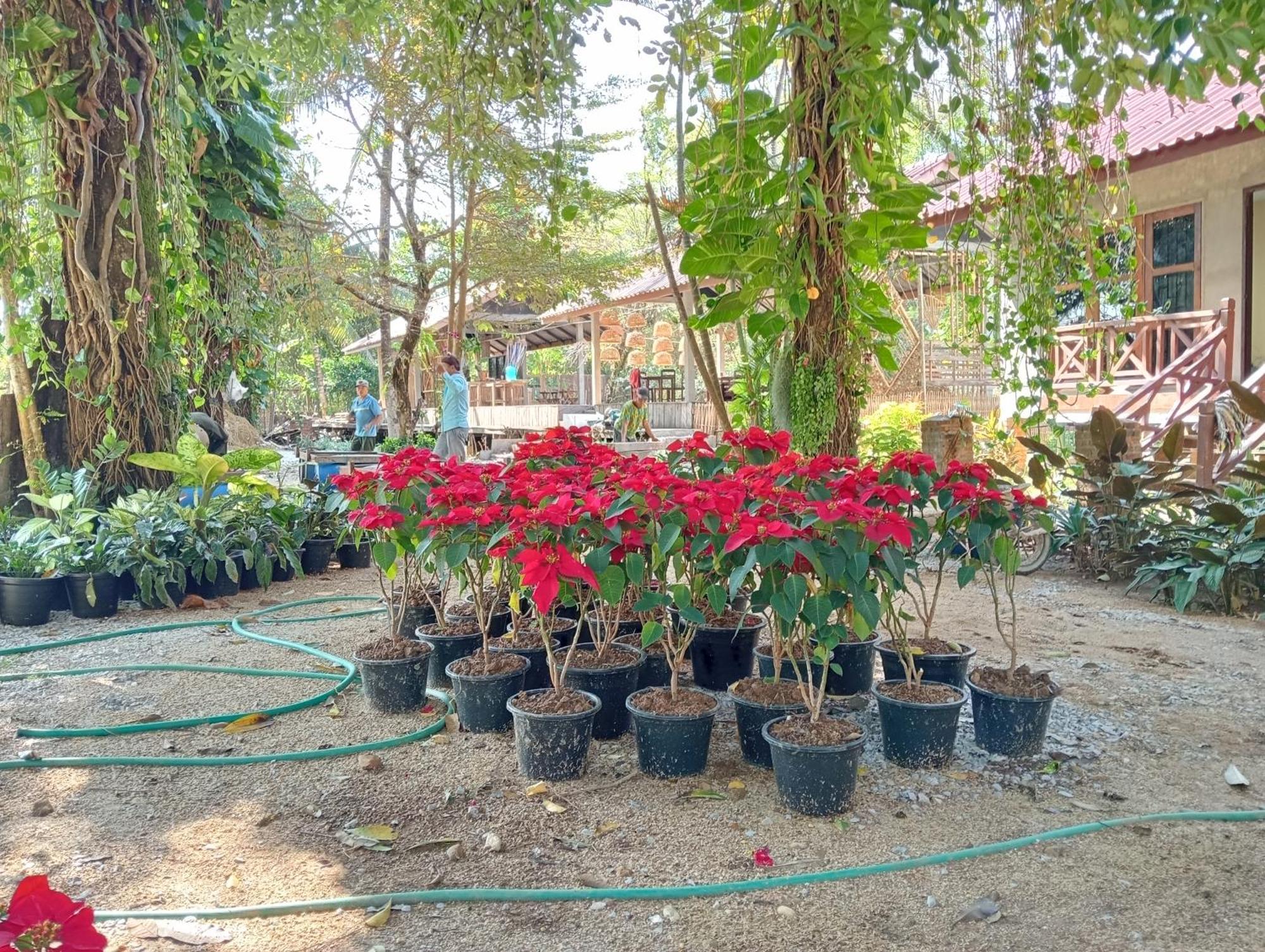 Vangvieng Ruby'Homestay 방 비엥 외부 사진